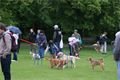 DSC09354