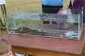 DSC09396