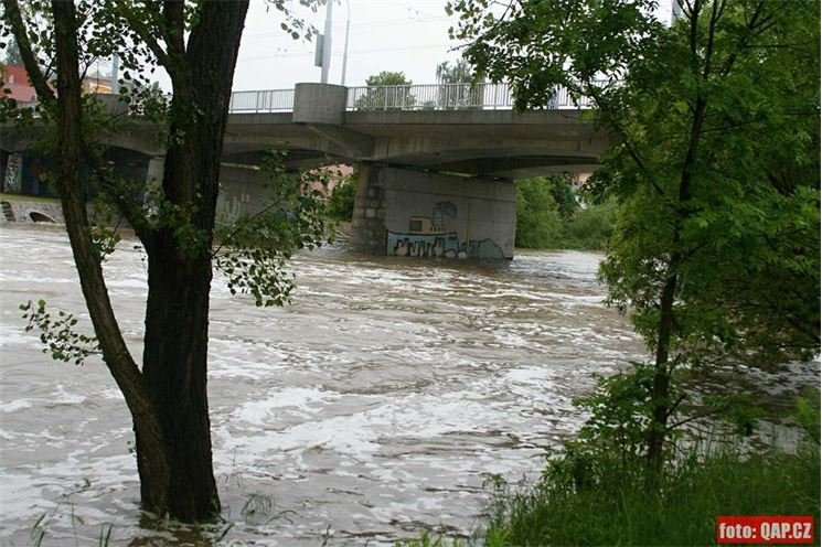 Radbuza doudlevce (13)