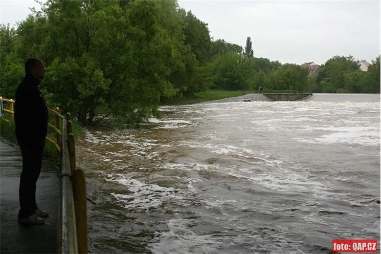 Radbuza doudlevce (23)