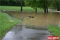 Klabava_golfove _hriště_Dýšina_2_6_2013 (35)