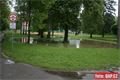 Božkovský ostrov_řeka Uslava_2_června (2)