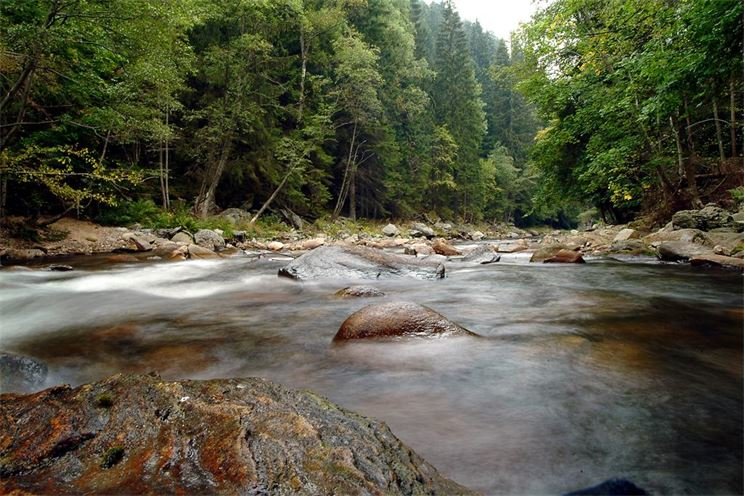 Šumava7056 Šumava7056