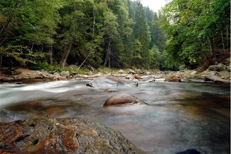 Šumava7056 Šumava7056