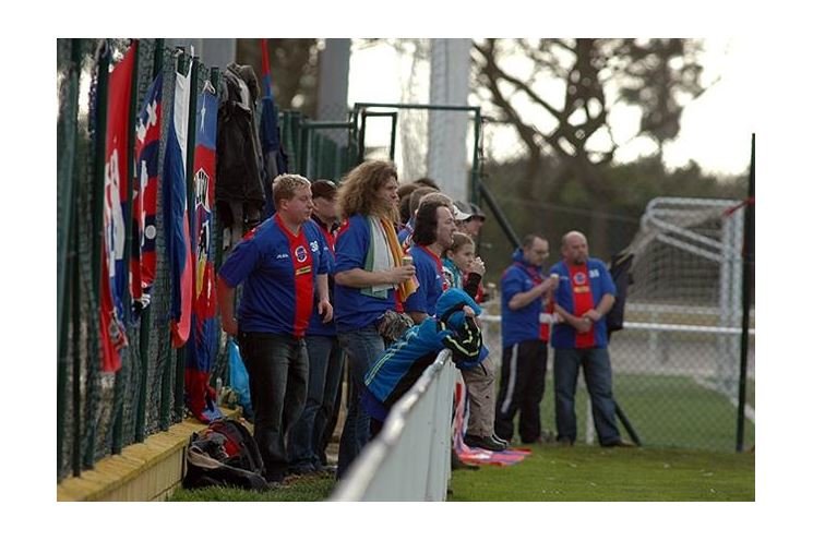 11603_fans7