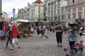 IMG_4583