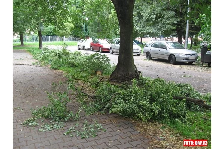 IMG_4726 IMG_4726