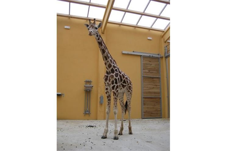 IMG_3355 IMG_3355