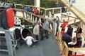 stezka korunami stromů lipno (37)
