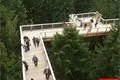 stezka korunami stromů lipno (46)
