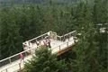 stezka korunami stromů lipno (48)