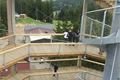 stezka korunami stromů lipno (72)