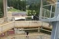 stezka korunami stromů lipno (72)