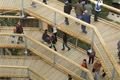 stezka korunami stromů lipno (86)