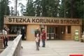 stezka korunami stromů lipno (95)