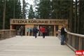 stezka korunami stromů lipno (192)