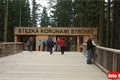 stezka korunami stromů lipno (192)