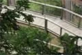 DSC01018