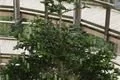DSC01022