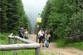 IMG_0003 (5)