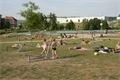 DSC01412