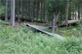 DSC00907