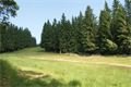 DSC00944