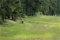foto_spicak_biker2