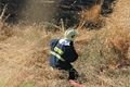 požár pole litice (11)