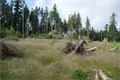 DSC01078