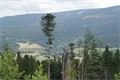 DSC01080