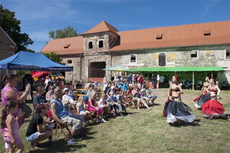 svojsin-8644 svojsin-8644