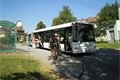 bus5