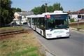 bus3
