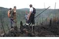 požár šumavy_nemecko_foto_Passauer Neue Presse _internet (4)