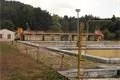 SDC11994