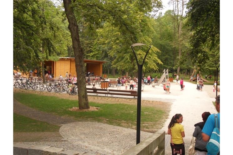 SDC12009
