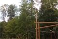 SDC12014