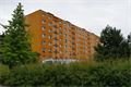 DSC02559