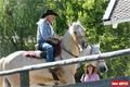 Jezdci na koních jsou vidět v Pullman Cty často 