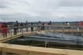 DSC01926