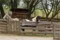 DSC03018