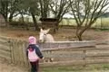 DSC03020
