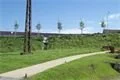 DSC03397