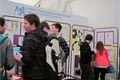 IMG_0017