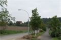 DSC03638