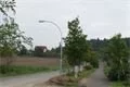 DSC03638