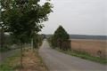 DSC03651