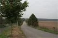DSC03651