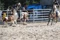 IMG_0008